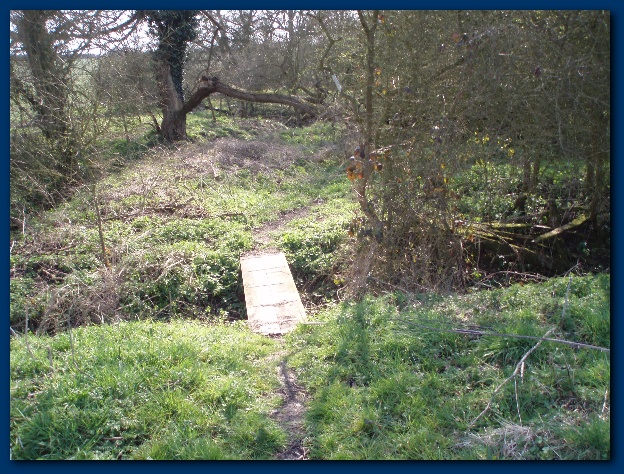 600x449 pixels (207K)